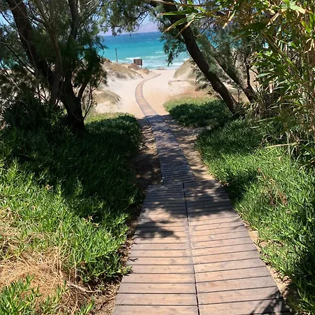 The Saint George Masticharion